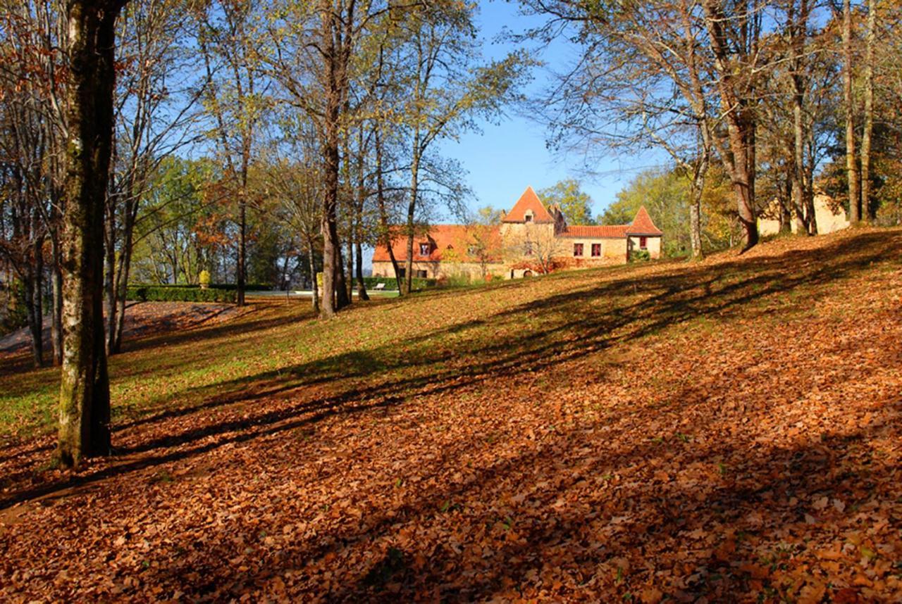 Le Manoir Du Rocher Domme Eksteriør billede