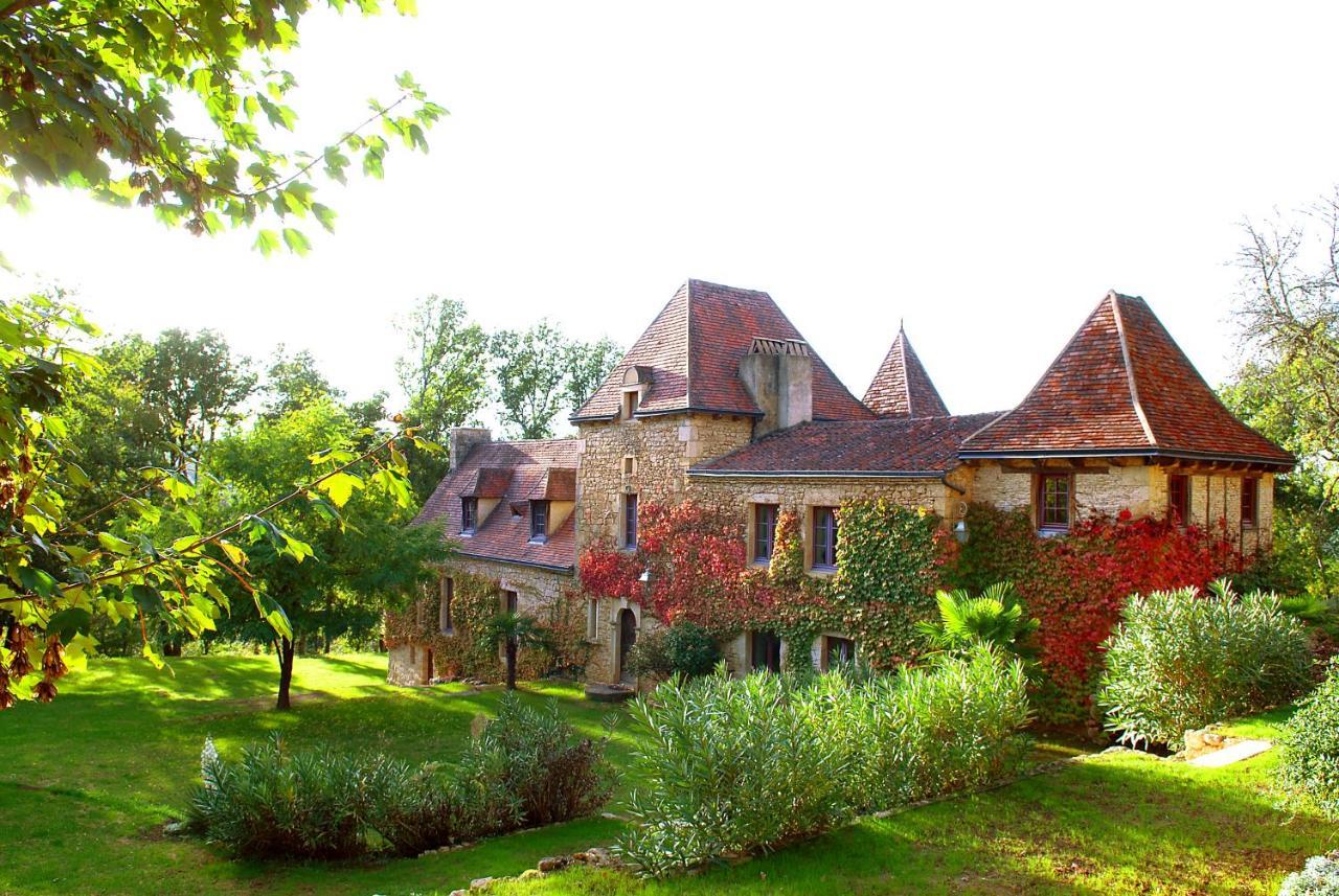 Le Manoir Du Rocher Domme Eksteriør billede